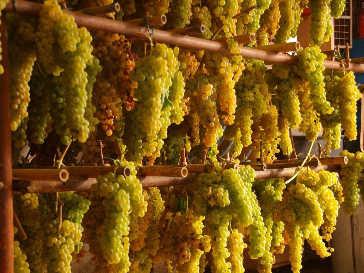 Agriturismo La Roverella Monteroni d'Arbia Eksteriør billede
