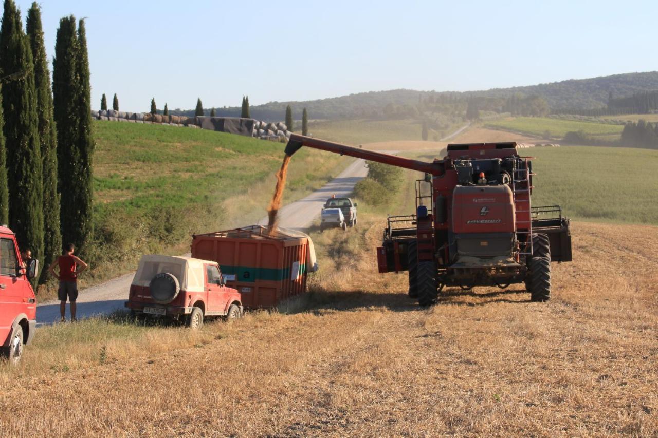 Agriturismo La Roverella Monteroni d'Arbia Eksteriør billede