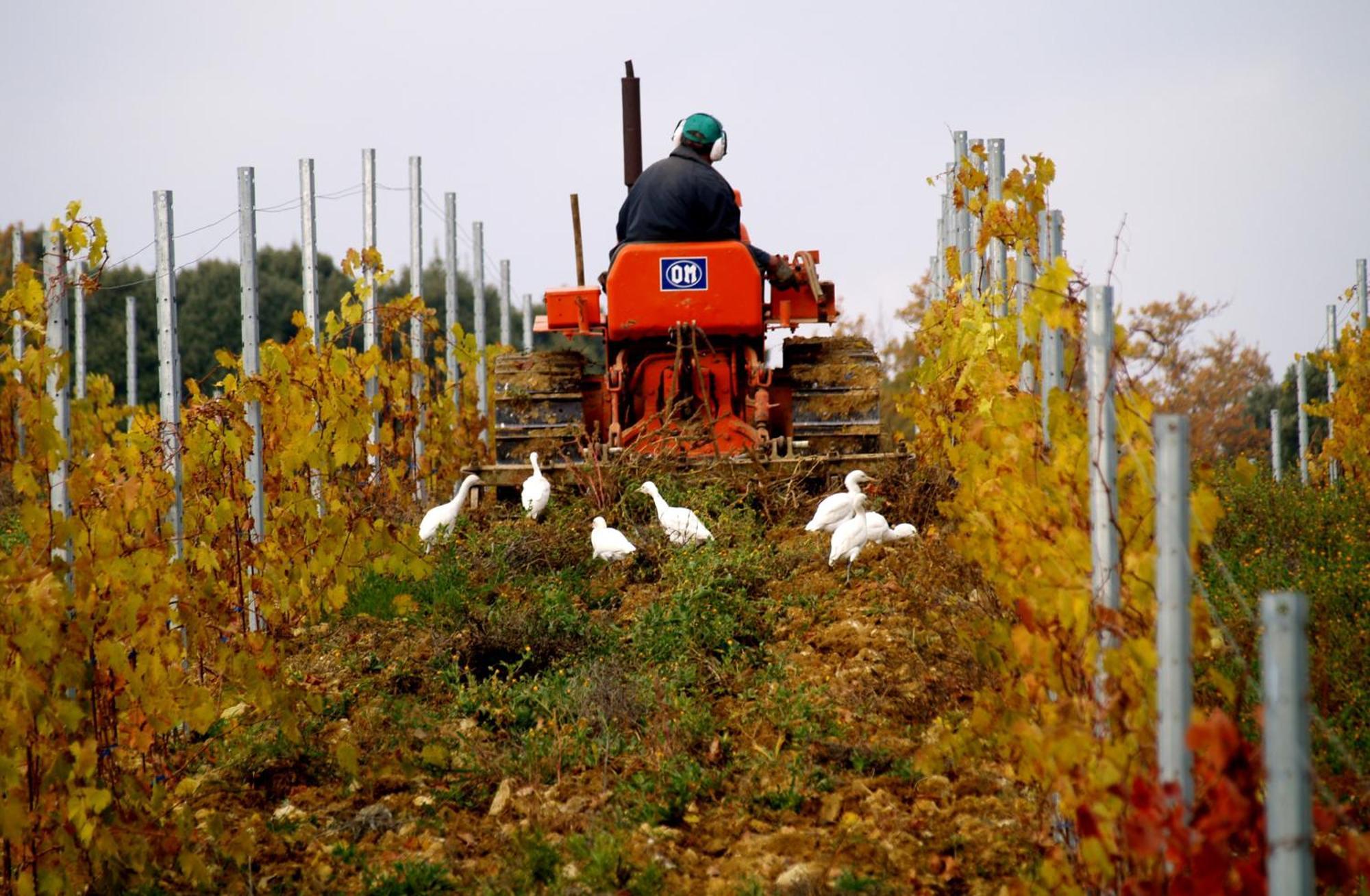 Agriturismo La Roverella Monteroni d'Arbia Eksteriør billede