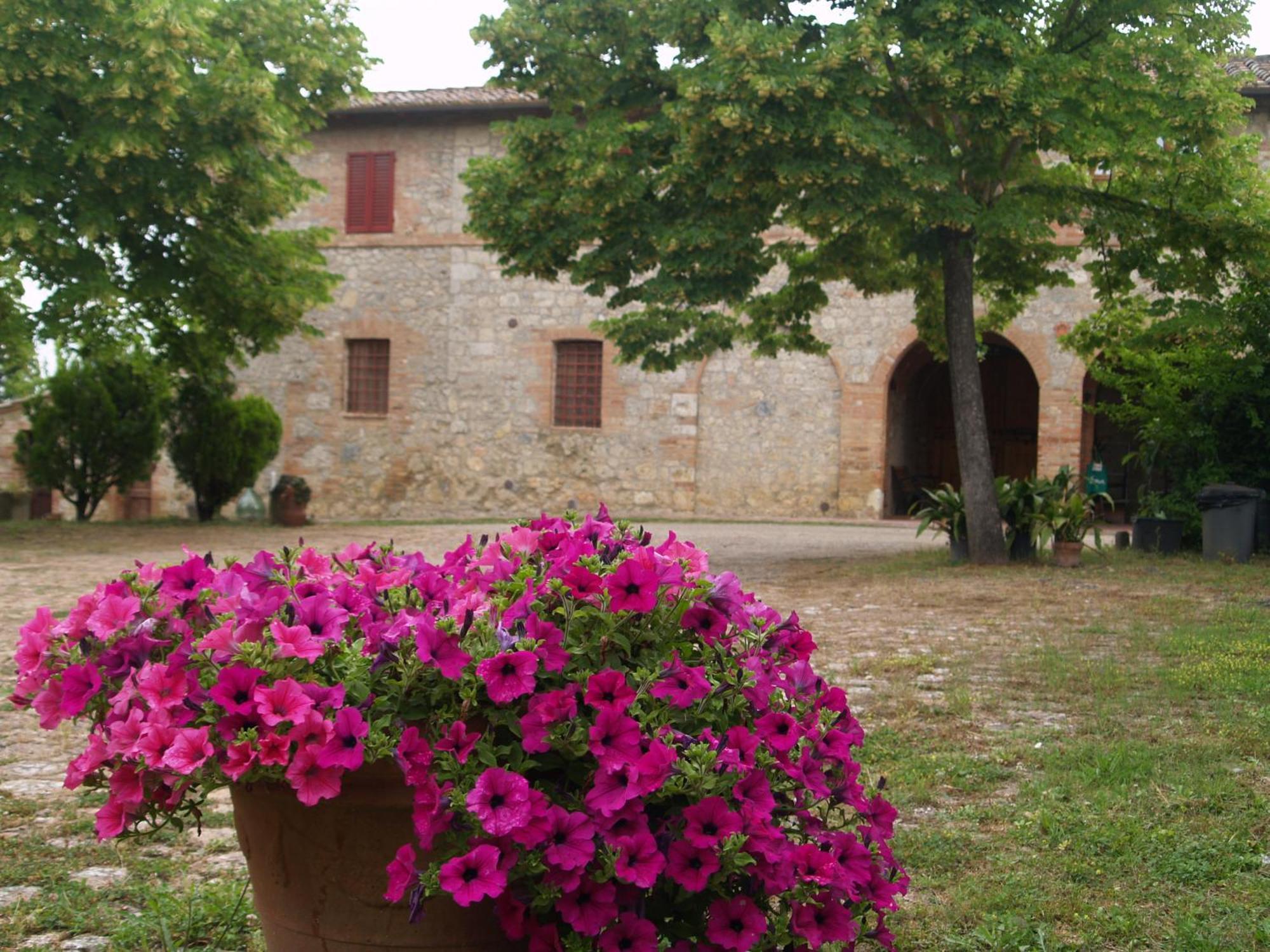 Agriturismo La Roverella Monteroni d'Arbia Værelse billede